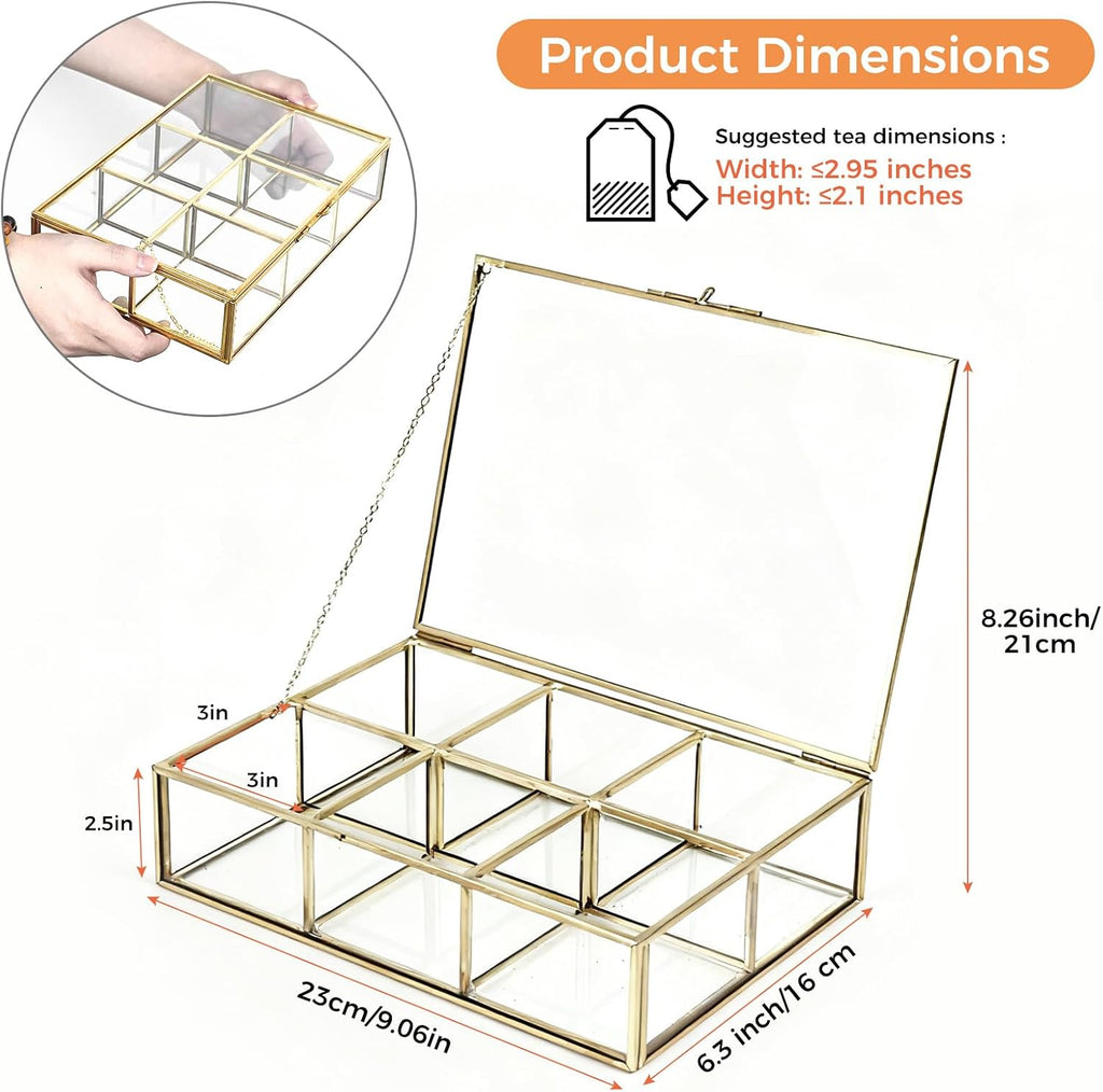Six-compartment glass organizer size illustration