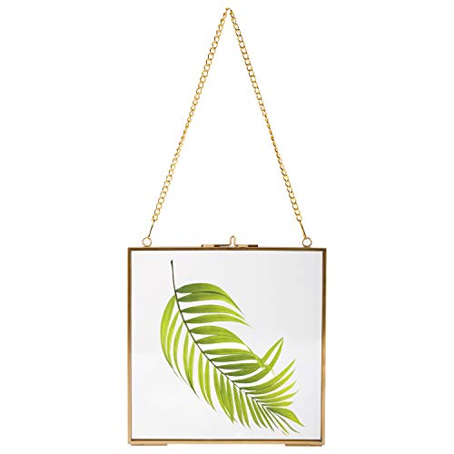 HighFree Gold Hanging Glass Display Frame, 6.3 Inches; display contents not included