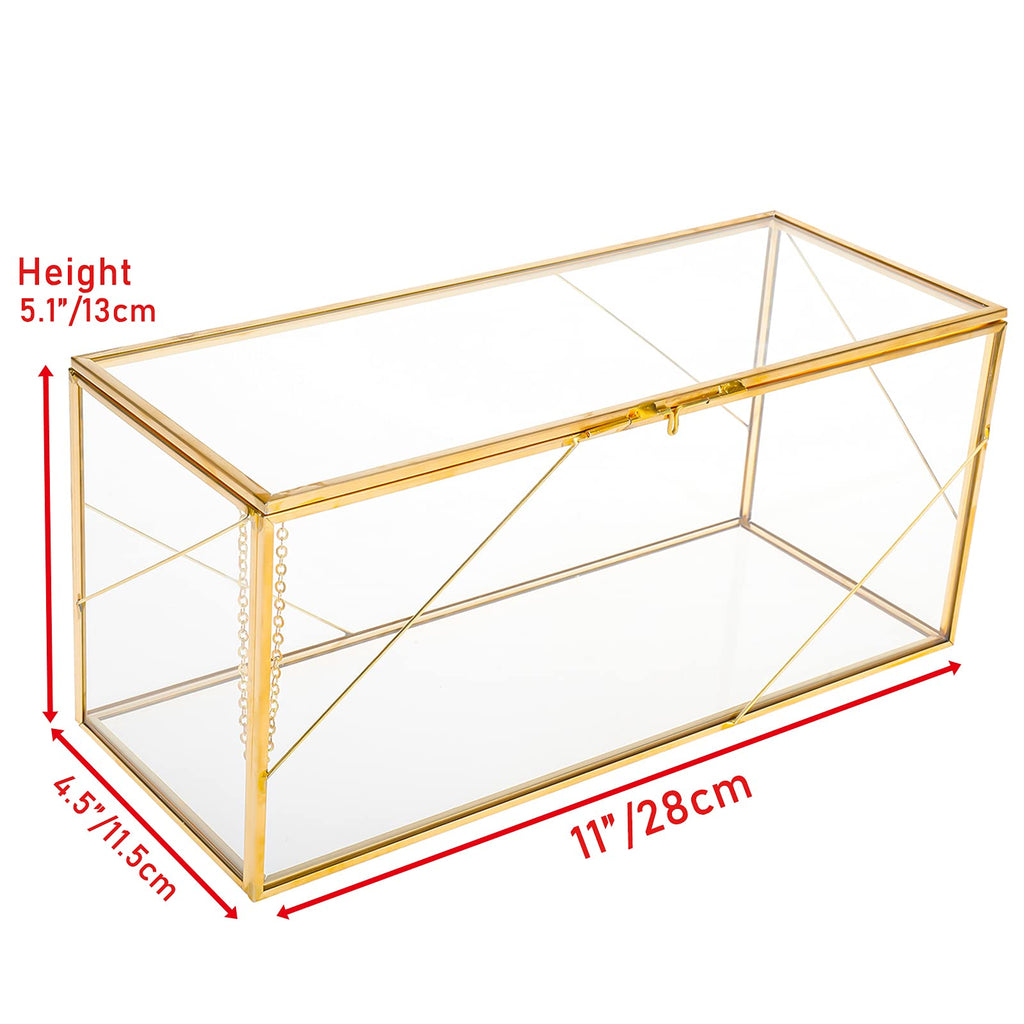 Gold-tone rectangular glass display box dimension illustration, approximately 11 by 4.5 by 5.1 inches.